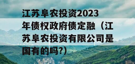 江苏阜农投资2023年债权政府债定融（江苏阜农投资有限公司是国有的吗?）