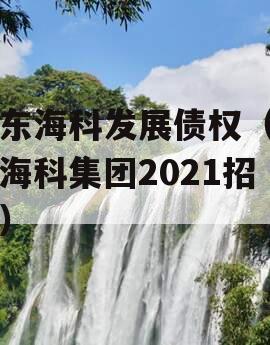 山东海科发展债权（山东海科集团2021招聘）