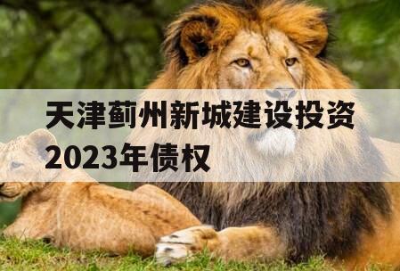 天津蓟州新城建设投资2023年债权