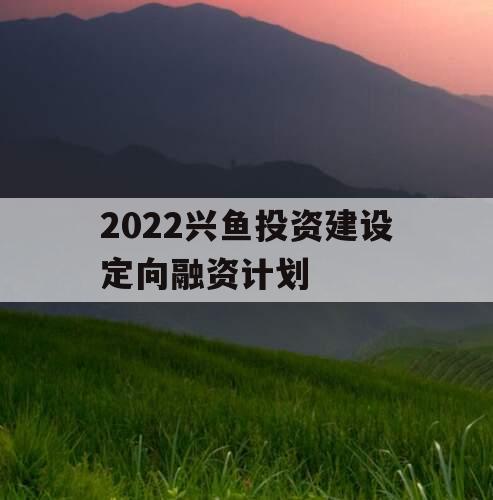 2022兴鱼投资建设定向融资计划