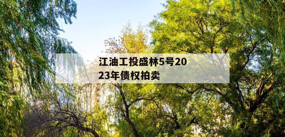 江油工投盛林5号2023年债权拍卖