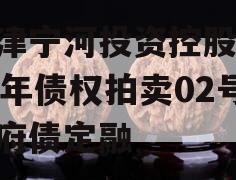 天津宁河投资控股2023年债权拍卖02号政府债定融