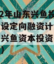 2022年山东兴鱼投资建设定向融资计划（山东兴鱼资本投资有限公司）