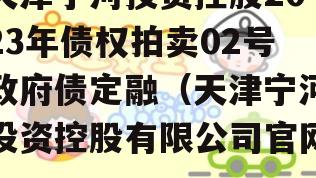 天津宁河投资控股2023年债权拍卖02号政府债定融（天津宁河投资控股有限公司官网）