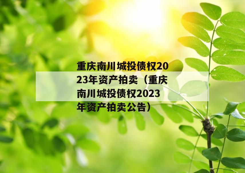 重庆南川城投债权2023年资产拍卖（重庆南川城投债权2023年资产拍卖公告）