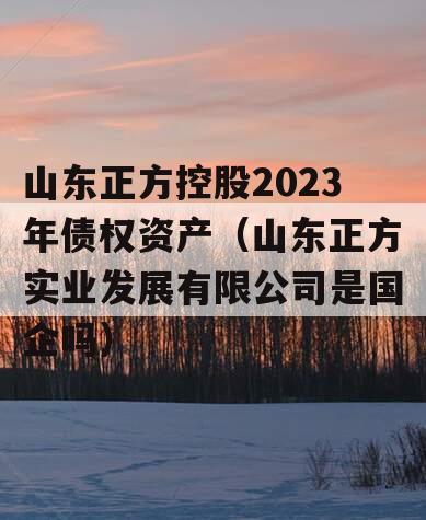 山东正方控股2023年债权资产（山东正方实业发展有限公司是国企吗）