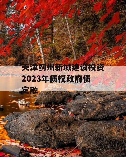 天津蓟州新城建设投资2023年债权政府债定融