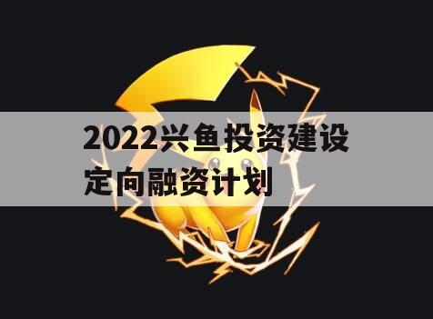 2022兴鱼投资建设定向融资计划