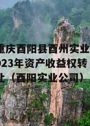 重庆酉阳县酉州实业2023年资产收益权转让（酉阳实业公司）