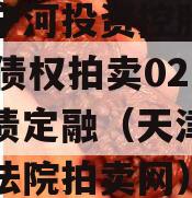 天津宁河投资控股2023年债权拍卖02号政府债定融（天津市宁河区法院拍卖网）