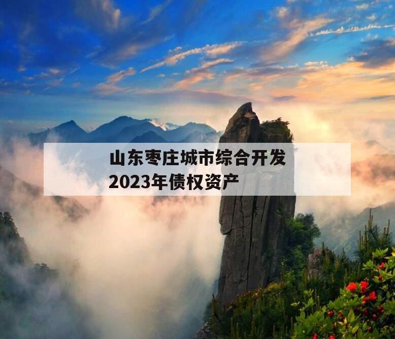 山东枣庄城市综合开发2023年债权资产