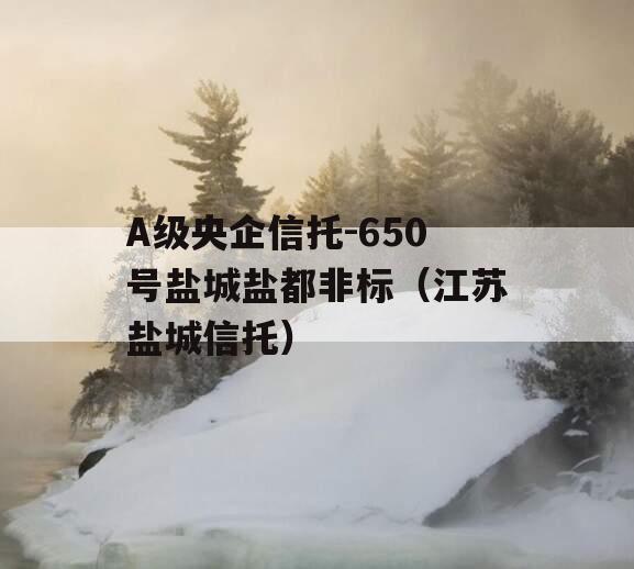 A级央企信托-650号盐城盐都非标（江苏盐城信托）