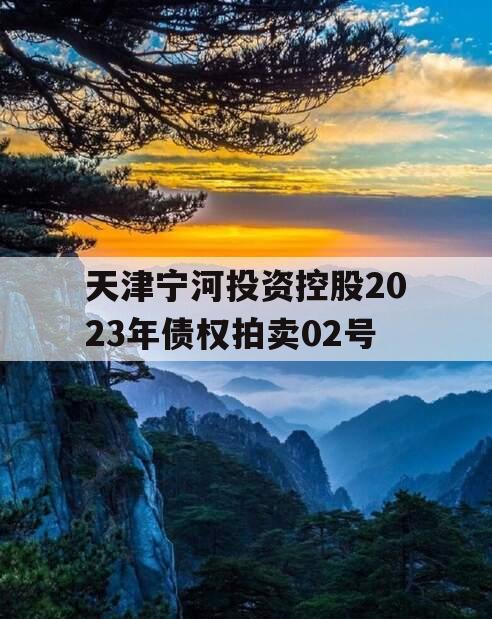 天津宁河投资控股2023年债权拍卖02号