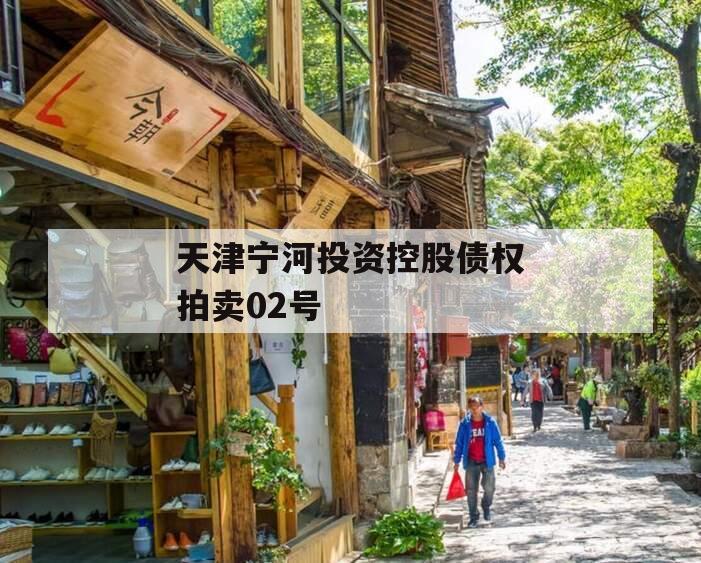 天津宁河投资控股债权拍卖02号