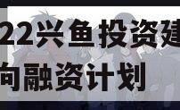 2022兴鱼投资建设定向融资计划