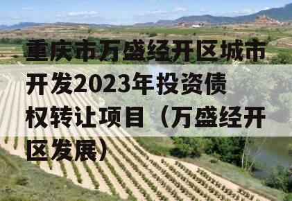 重庆市万盛经开区城市开发2023年投资债权转让项目（万盛经开区发展）