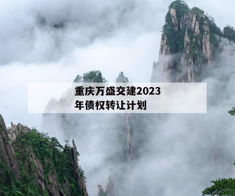 重庆万盛交建2023年债权转让计划