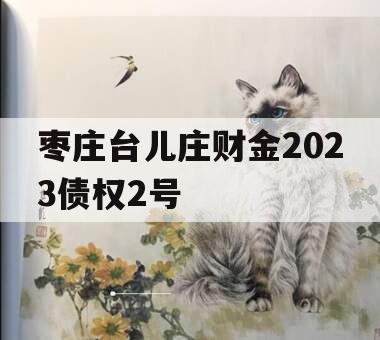 枣庄台儿庄财金2023债权2号