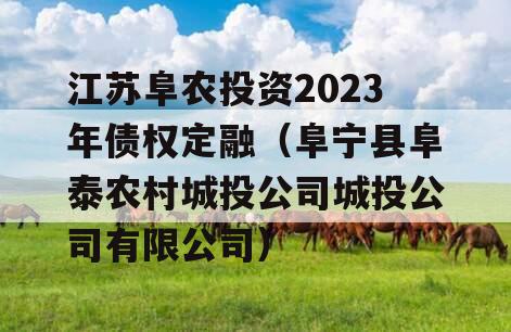 江苏阜农投资2023年债权定融（阜宁县阜泰农村城投公司城投公司有限公司）