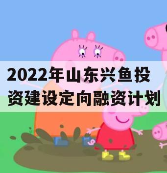 2022年山东兴鱼投资建设定向融资计划