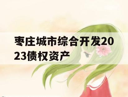 枣庄城市综合开发2023债权资产