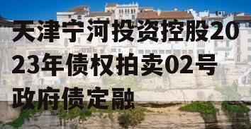 天津宁河投资控股2023年债权拍卖02号政府债定融