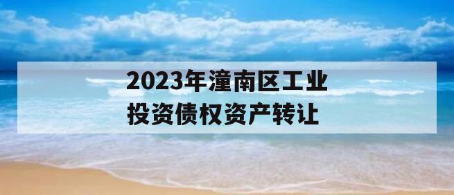 2023年潼南区工业投资债权资产转让