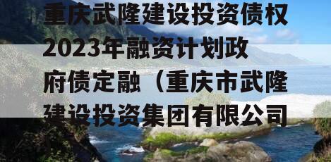 重庆武隆建设投资债权2023年融资计划政府债定融（重庆市武隆建设投资集团有限公司）