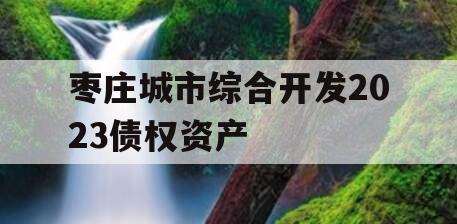 枣庄城市综合开发2023债权资产