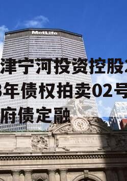 天津宁河投资控股2023年债权拍卖02号政府债定融