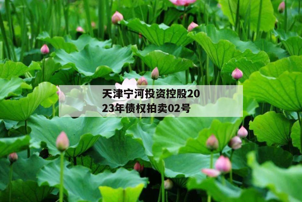 天津宁河投资控股2023年债权拍卖02号