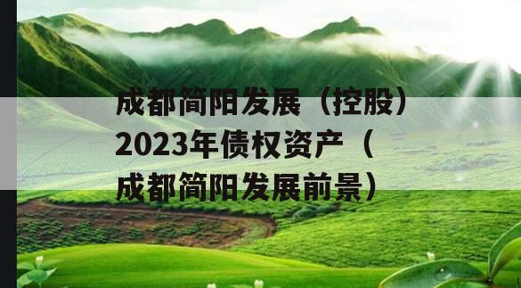 成都简阳发展（控股）2023年债权资产（成都简阳发展前景）