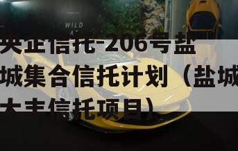 央企信托-206号盐城集合信托计划（盐城大丰信托项目）