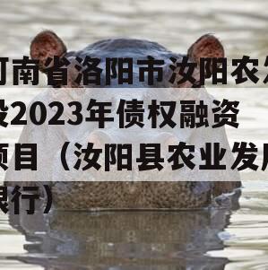 河南省洛阳市汝阳农发投2023年债权融资项目（汝阳县农业发展银行）