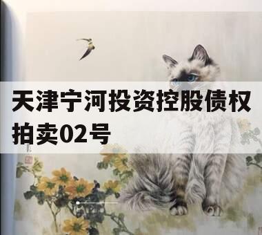 天津宁河投资控股债权拍卖02号