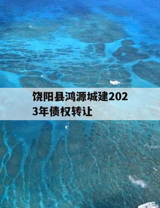 饶阳县鸿源城建2023年债权转让