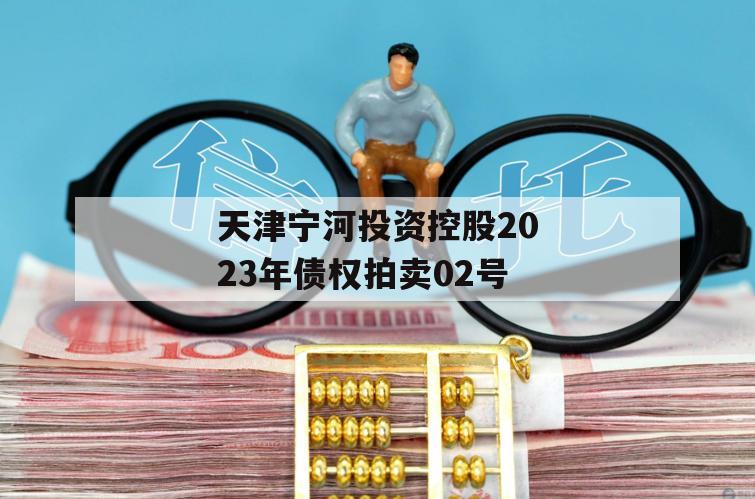 天津宁河投资控股2023年债权拍卖02号