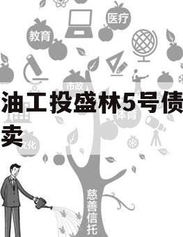 江油工投盛林5号债权拍卖