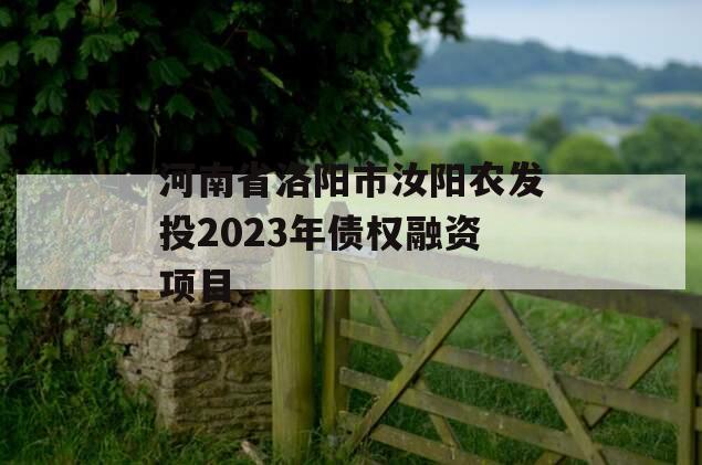 河南省洛阳市汝阳农发投2023年债权融资项目