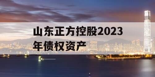 山东正方控股2023年债权资产