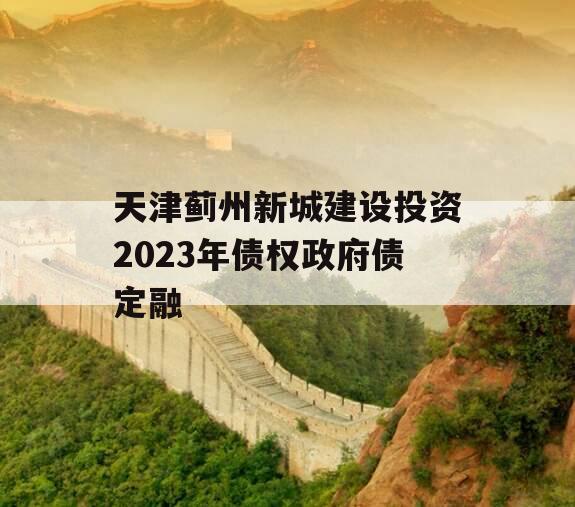 天津蓟州新城建设投资2023年债权政府债定融