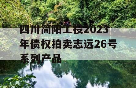 四川简阳工投2023年债权拍卖志远26号系列产品