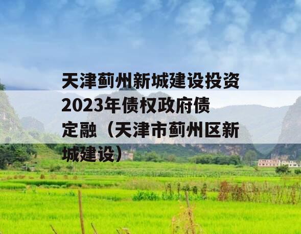 天津蓟州新城建设投资2023年债权政府债定融（天津市蓟州区新城建设）