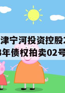 天津宁河投资控股2023年债权拍卖02号