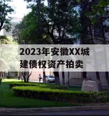 2023年安徽XX城建债权资产拍卖