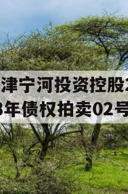 天津宁河投资控股2023年债权拍卖02号