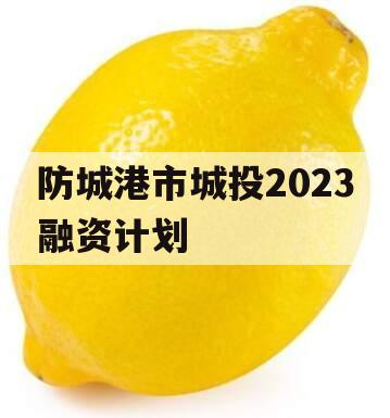 防城港市城投2023融资计划