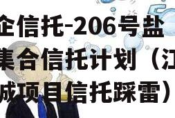 央企信托-206号盐城集合信托计划（江苏盐城项目信托踩雷）