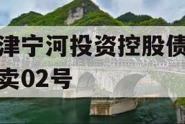 天津宁河投资控股债权拍卖02号