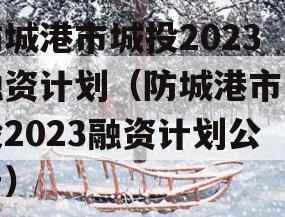 防城港市城投2023融资计划（防城港市城投2023融资计划公告）